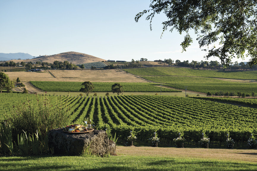 De Bortoli Yarra Valley Estate, Australia