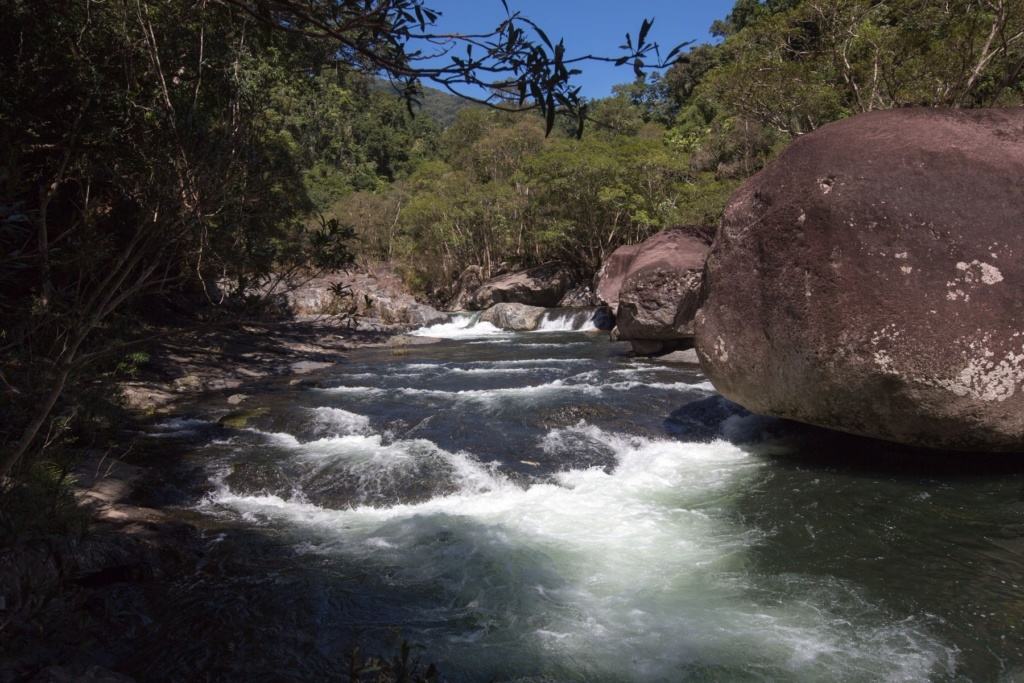 Creek Daintree Forest Australia