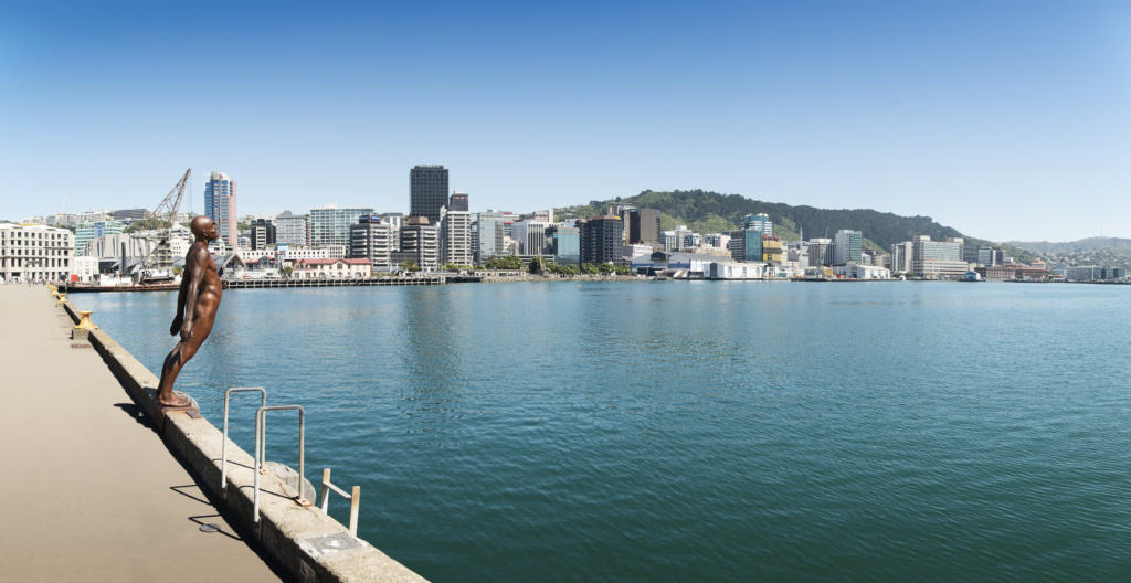 Wellington City