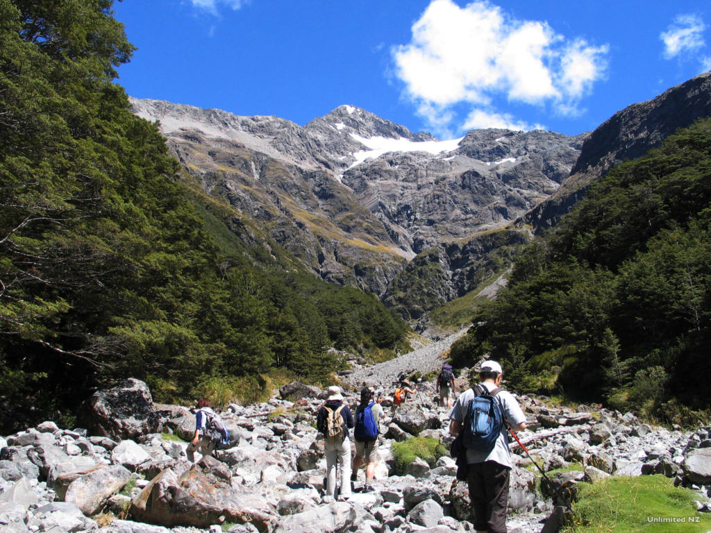 Bealey Valley, Arthurs Pass, Canterbury