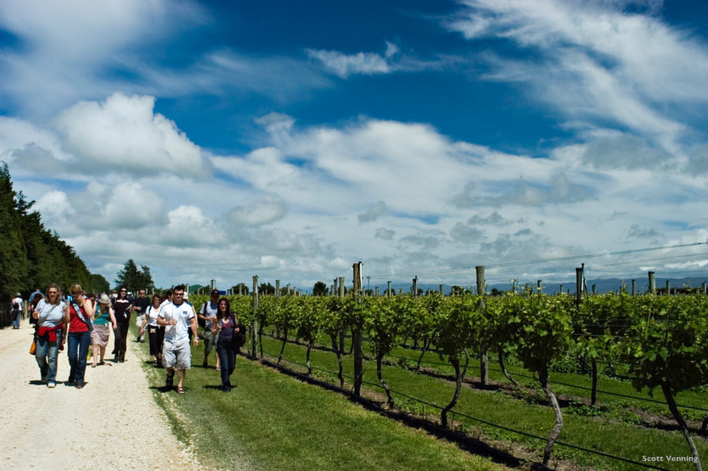 Martinborough Festival