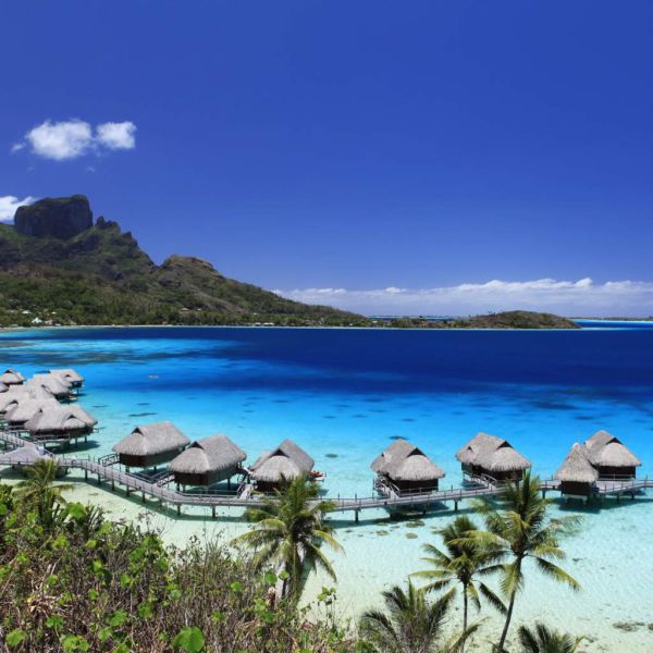 Visit French Polynesia - The South Pacific --Travel Pacific Agency